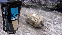 Video Shadow Bait Ground Bait Caribbean Flavour